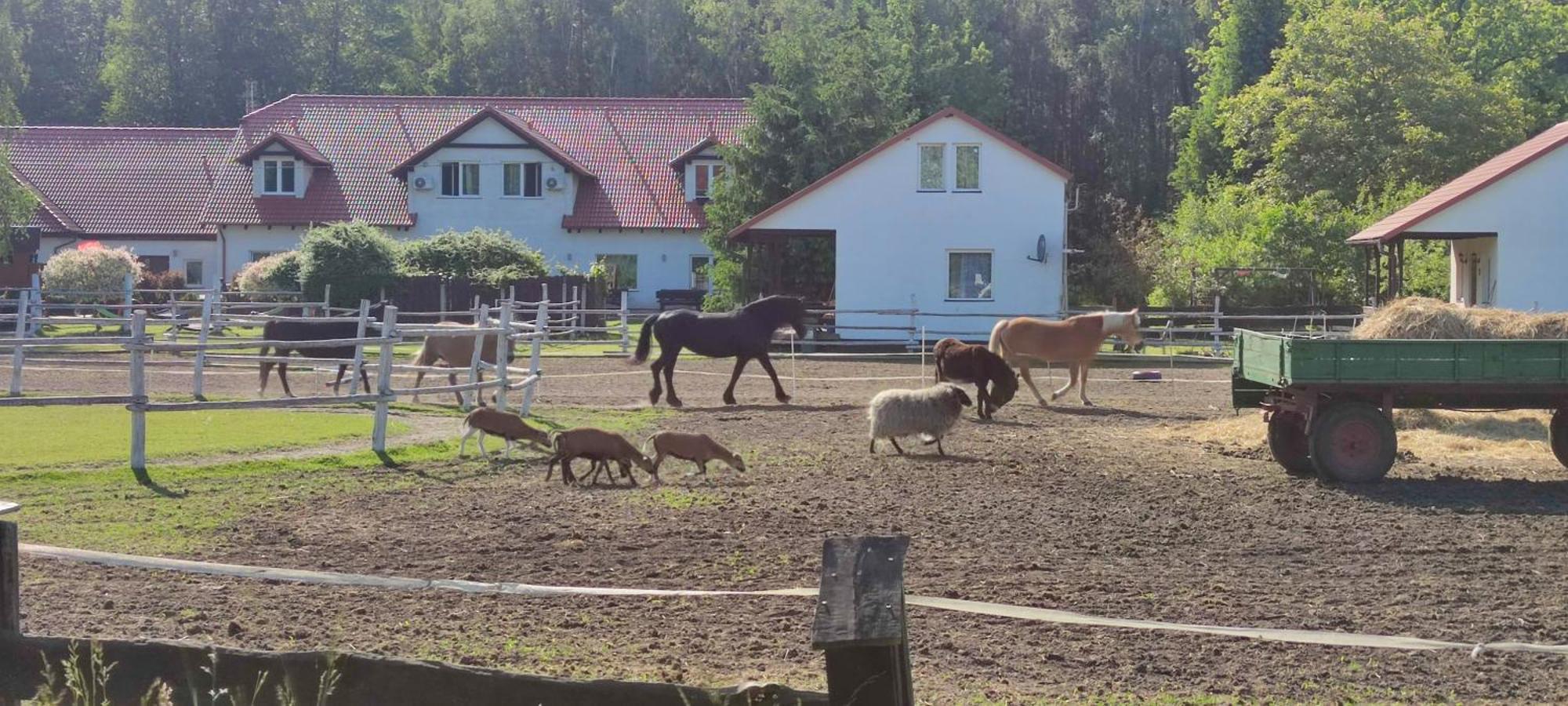 Trzciel Rancho Colorado 빌라 외부 사진